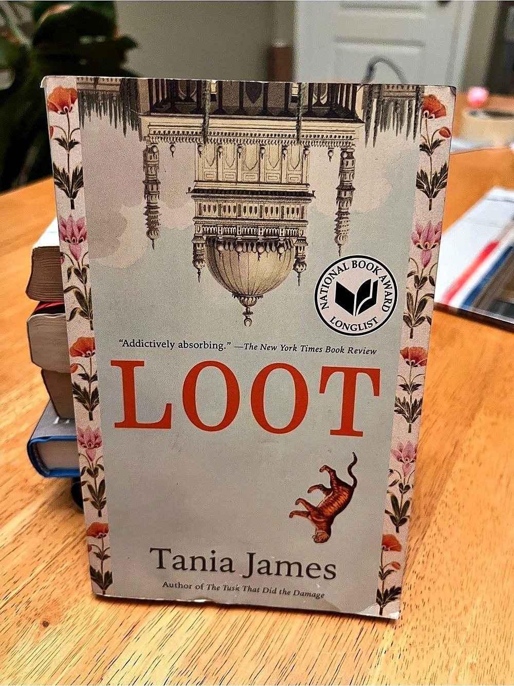 Loot Novel Book